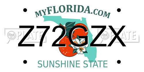 Z72GZX Florida License Plate