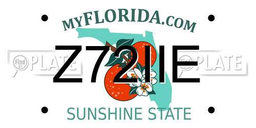 Z72IIE Florida License Plate