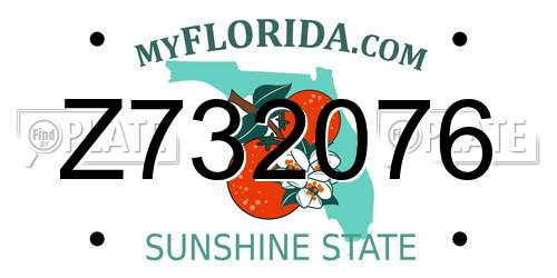 Z732076 Florida License Plate