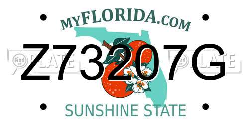Z73207G Florida License Plate
