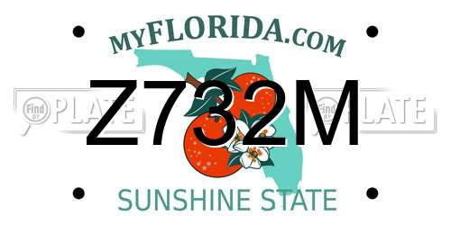 Z732M Florida License Plate