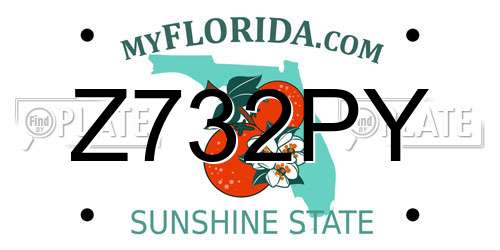 Z732PY Florida License Plate