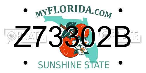Z73302B Florida License Plate