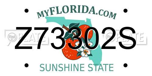 Z73302S Florida License Plate
