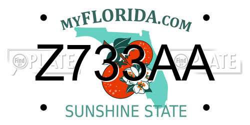 Z733AA Florida License Plate