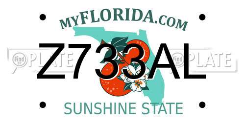 Z733AL Florida License Plate