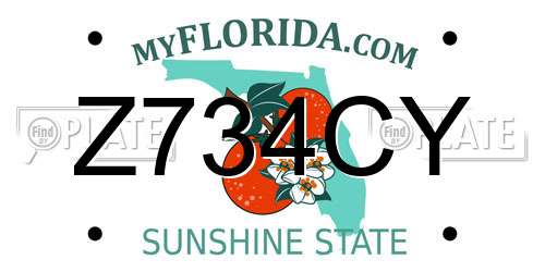 Z734CY Florida License Plate