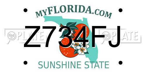 Z734FJ Florida License Plate