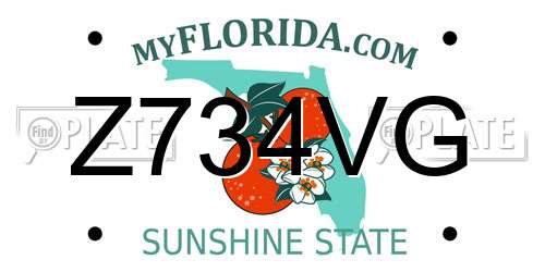 Z734VG Florida License Plate