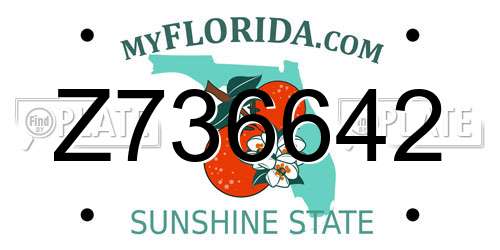 Z736642 Florida License Plate
