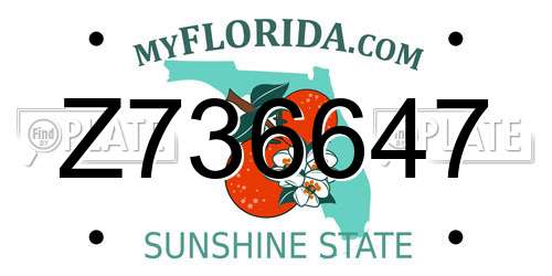 Z736647 Florida License Plate