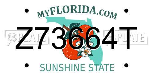 Z73664T Florida License Plate