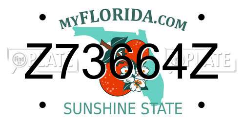 Z73664Z Florida License Plate