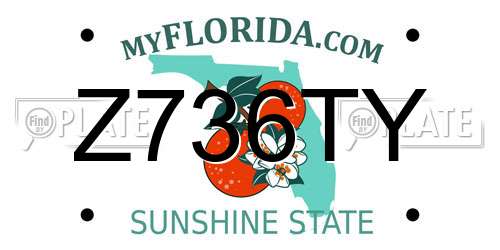 Z736TY Florida License Plate
