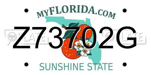 Z73702G Florida License Plate