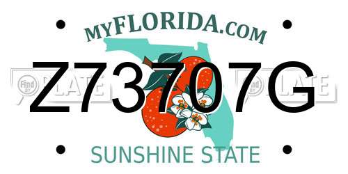 Z73707G Florida License Plate