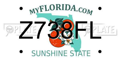 Z738FL Florida License Plate