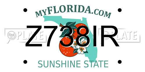 Z738IR Florida License Plate