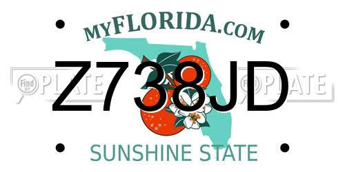 Z738JD Florida License Plate