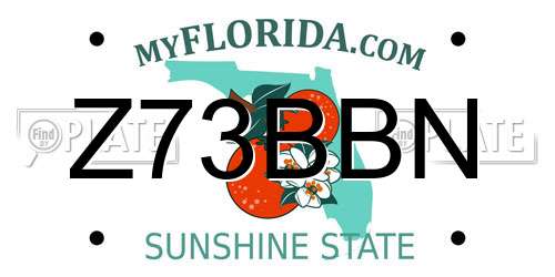 Z73BBN Florida License Plate