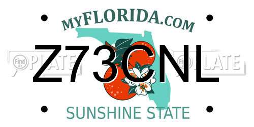 Z73CNL Florida License Plate