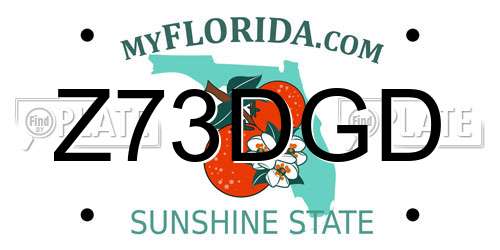 Z73DGD Florida License Plate