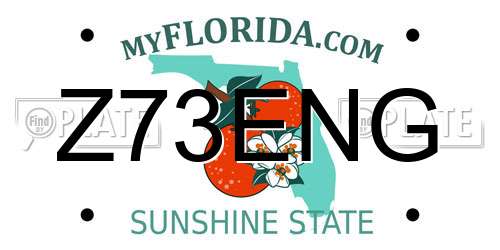 Z73ENG Florida License Plate