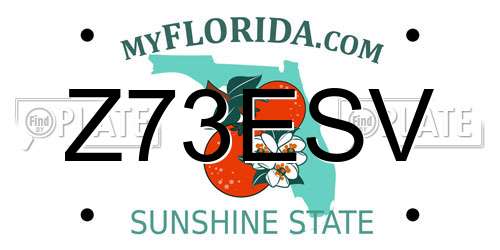 Z73ESV Florida License Plate