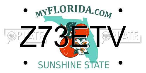 Z73ETV Florida License Plate