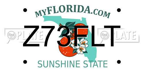 Z73FLT Florida License Plate