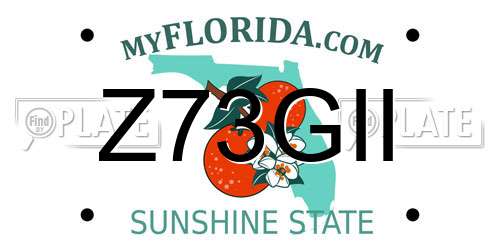Z73GII Florida License Plate