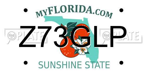 Z73GLP Florida License Plate