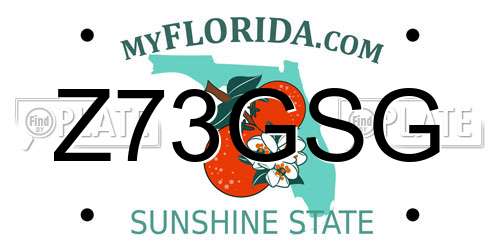 Z73GSG Florida License Plate