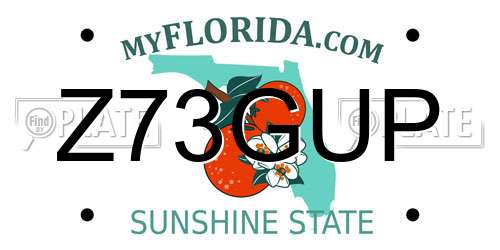 Z73GUP Florida License Plate