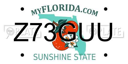 Z73GUU Florida License Plate