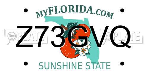 Z73GVQ Florida License Plate