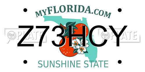 Z73HCY Florida License Plate