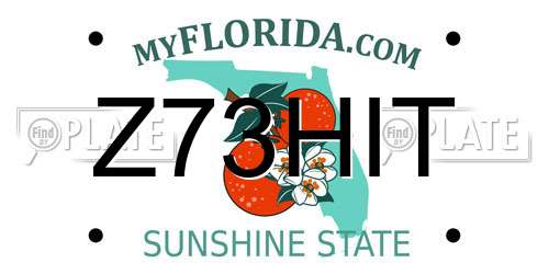 Z73HIT Florida License Plate