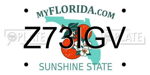 Z73IGV Florida License Plate