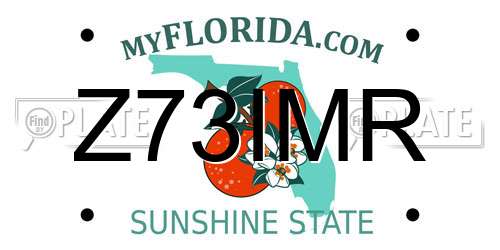 Z73IMR Florida License Plate