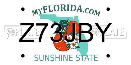 Z73JBY Florida License Plate
