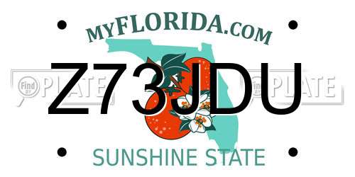 Z73JDU Florida License Plate
