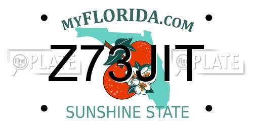 Z73JIT Florida License Plate