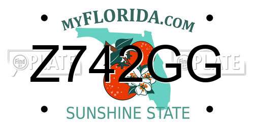 Z742GG Florida License Plate
