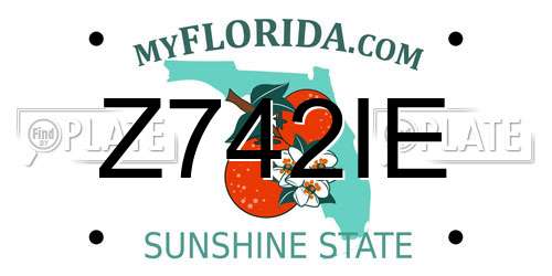 Z742IE Florida License Plate