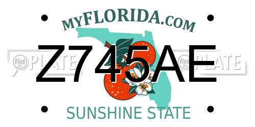 Z745AE Florida License Plate