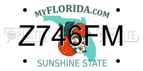 Z746FM Florida License Plate