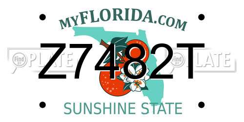 Z7482T Florida License Plate