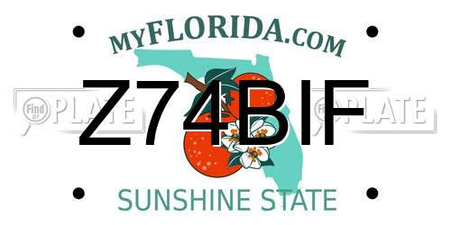 Z74BIF Florida License Plate