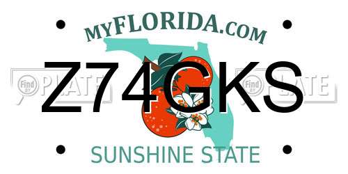 Z74GKS Florida License Plate